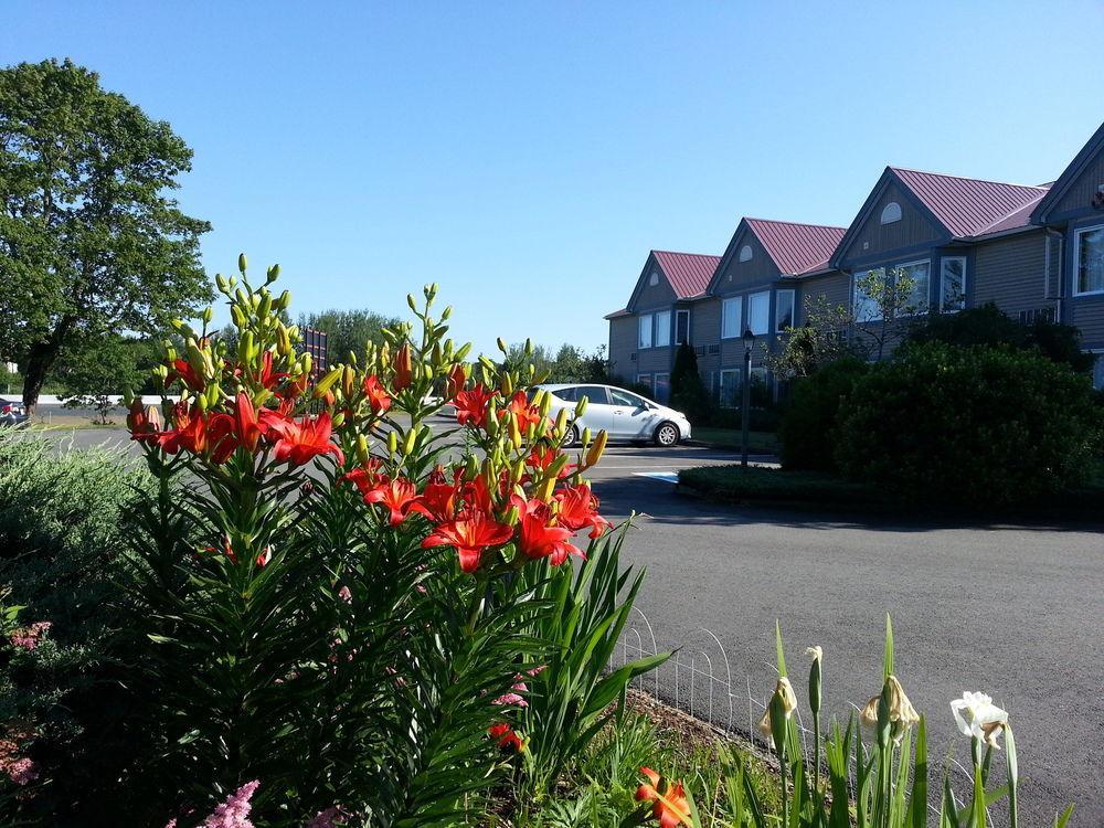 Granite Town Hotel Saint George Экстерьер фото